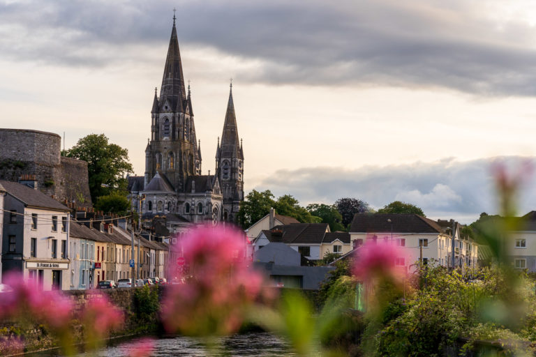 Saint Fin Barre's Cathedral pictured from South Gate Bridge with a few pink flowers/weeds blurred in the foreground