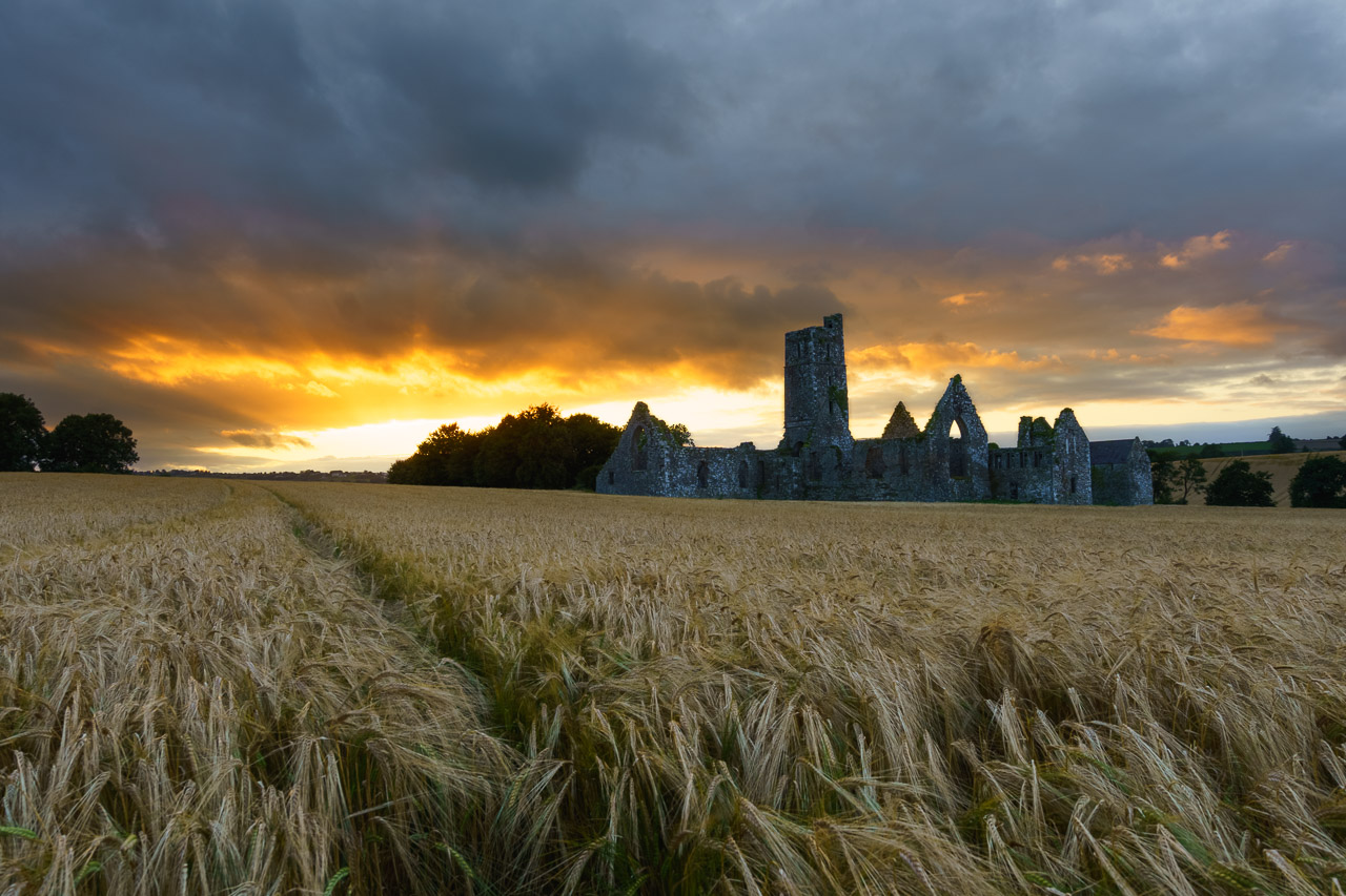 A ruined building in a field of wheat at sunset. The cloud is lit up by the setting sun.