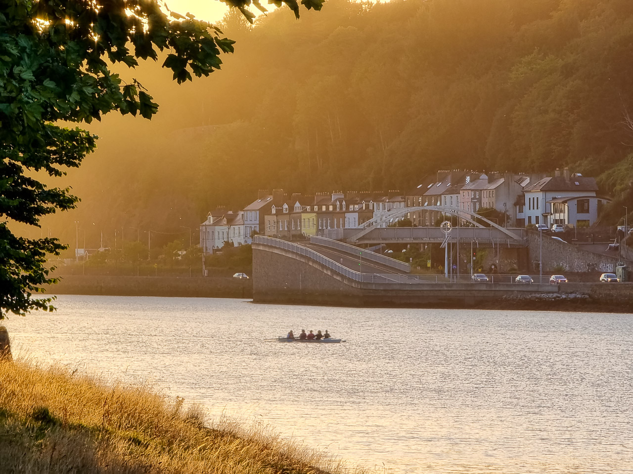 A rowing boat spotted on the River Lee, with the sun at an angle shining with warm, yellow light. Tree leaves are and grass are visible in the foreground while the hill, houses, road and cars are on the opposite bank.