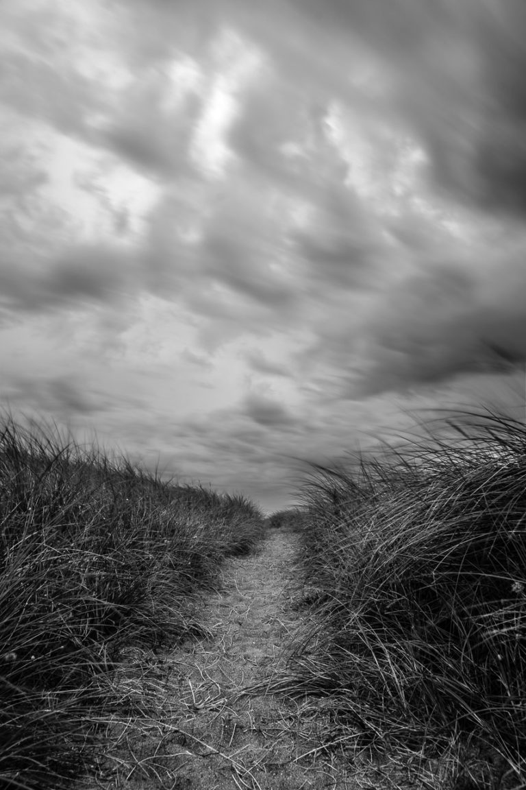 A path leading between dunes with tall grass on either side and threatening rain clouds up above