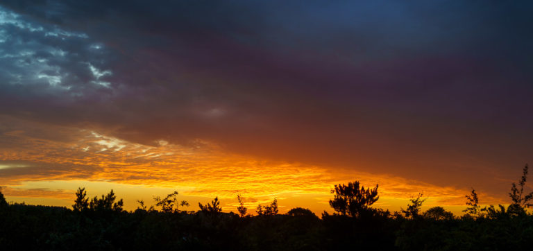 Just before the sun rose this morning it lit up the clouds on the horizon, while deeper clouds remained almost grey but with patches of purple.
