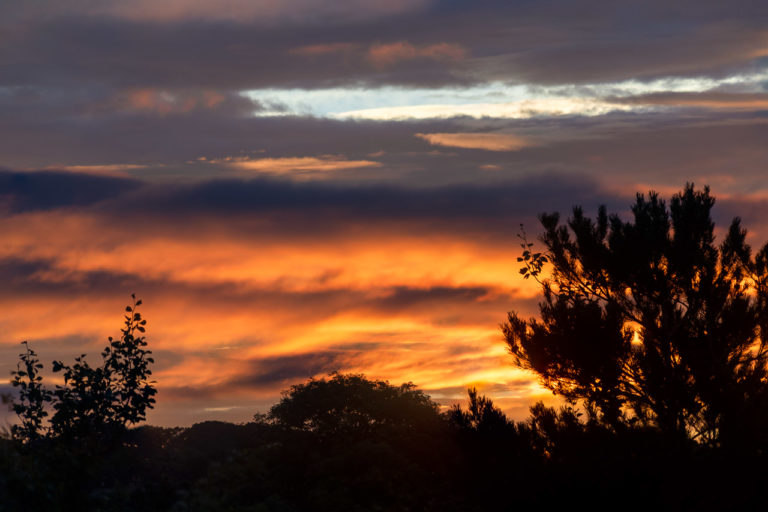 The sun rises behind a hill, lighting up the clouds above and making a silhouette of the trees in the foreground.