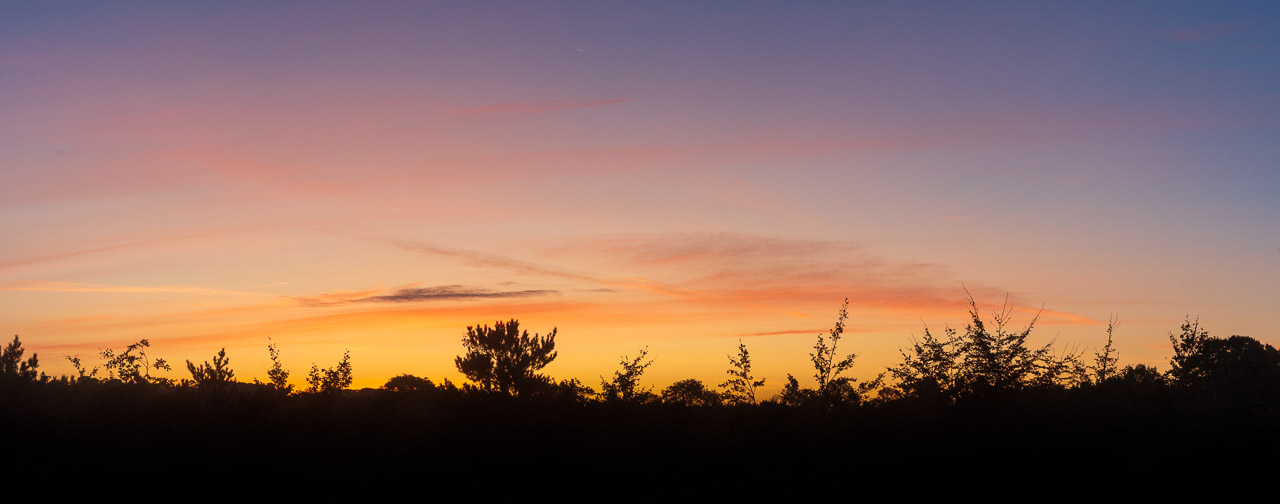 A sunrise panorama. A silhouette of branches and trees climb from a dark foreground to a sky glowing orange and red with the sunrise