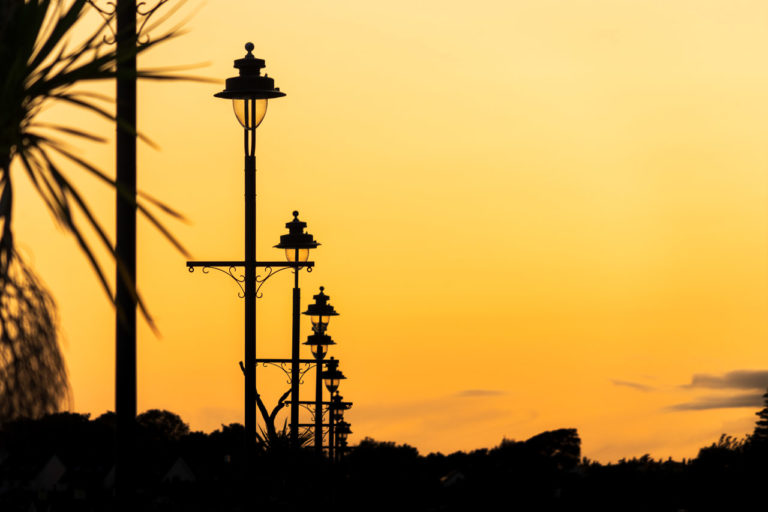 A yellow sky just after sunset. The silhouettes of street lamps, a tree and the horizon.