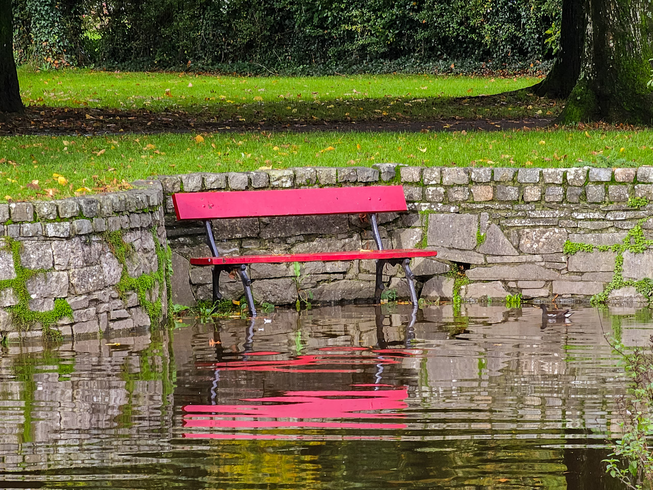 A red bench on a flooded path.
