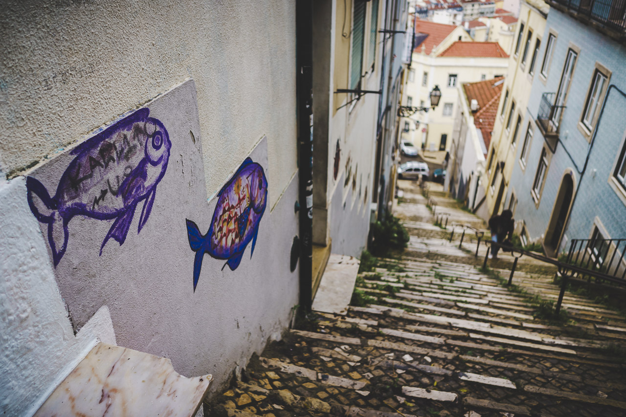 Looking down the steps of the Escadinhas Damasceno Monteiro in Lisbon. Fish graffiti adorn the walls of a nearby home.