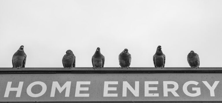 Six pigeons sitting on the roof of a small office on Grand Parade in Cork. The text "HOME ENERGY" is seen on the building they're on.
