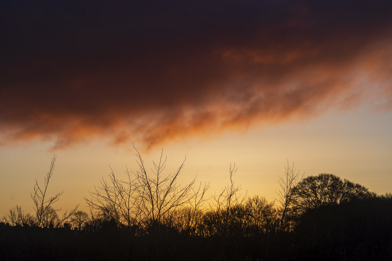 Sunrise with dark clouds at the top of the frame. Yellow and orange sunlight lighting up the bottom of the clouds and the clear sky underneath. Silhouettes of trees and branches occupy the bottom third of the image.