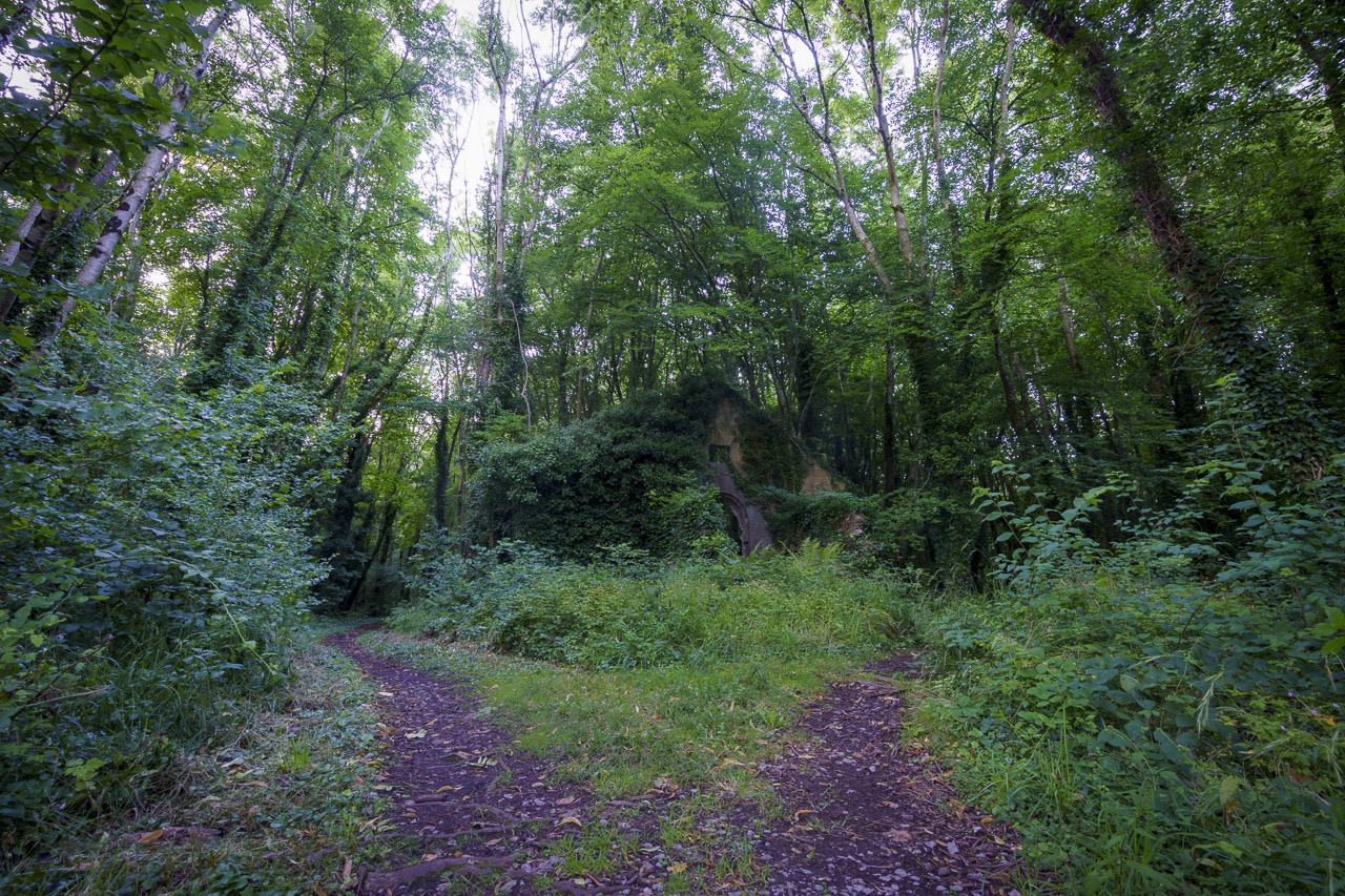 A path forks left and right around the ruins of a building in a forest.
