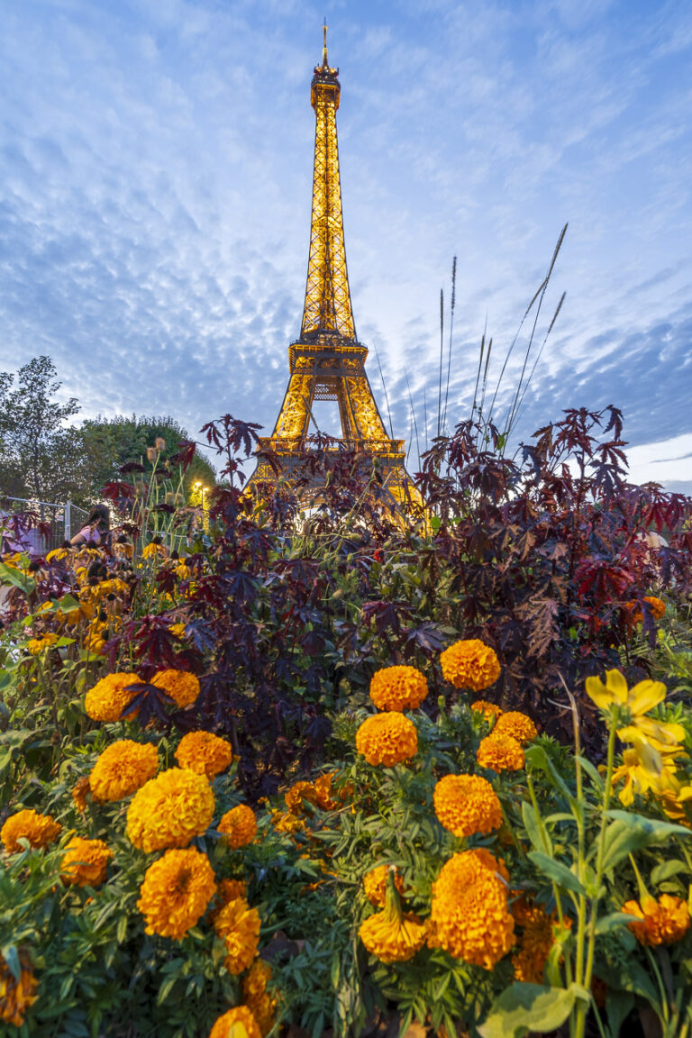 The EIffel Tower in the distance while at ground level are lovely flowers and plants.