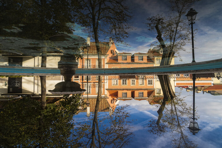 Houses, trees, sky and street furniture are reflected in a pond in Lisbon.