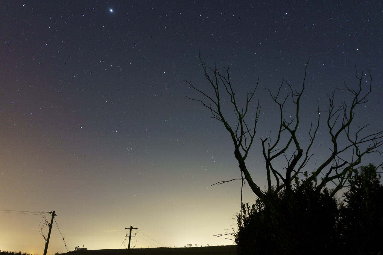 Stars pop and light pollution shows in the sky while the foreground trees and bushes are silhouetted. Poles carrying wires too.