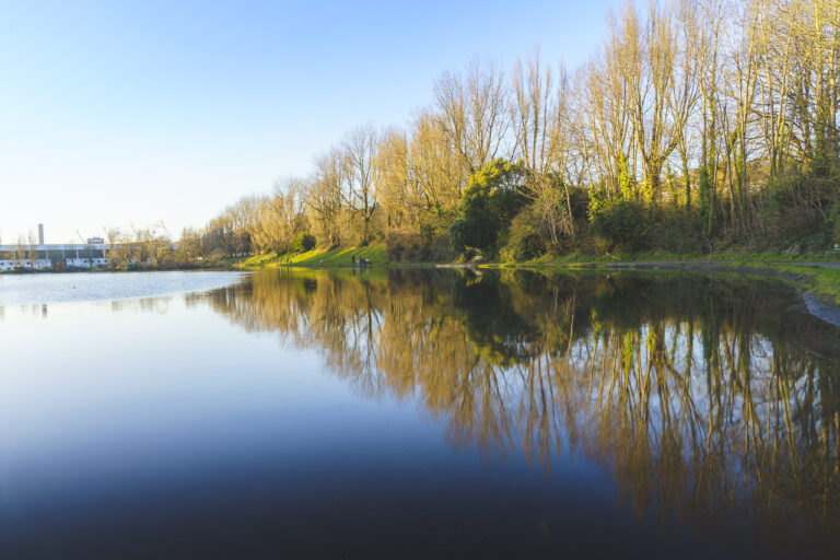Trees are reflected in the water of the Atlantic Pond in Cork. The water is very still, and a clear blue sky is unblemished by clouds.