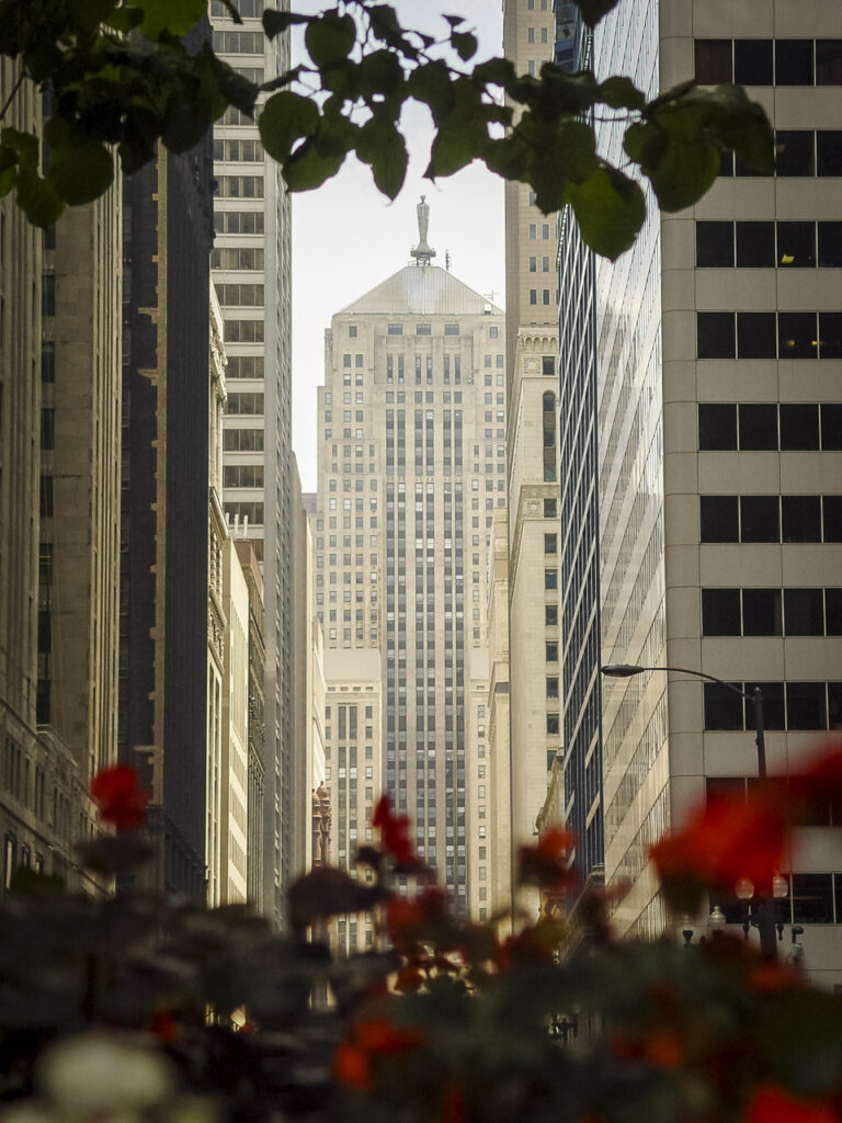 The famous Chicago Board of Trade building as soon from La Salle, framed by the leaves of a branch and some flowers