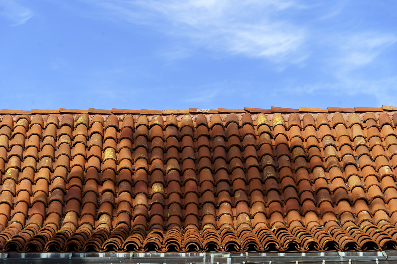 The shadow of a palm tree visible on the orange tiled roof of a building. A blue sky with wispy clouds can be seen above