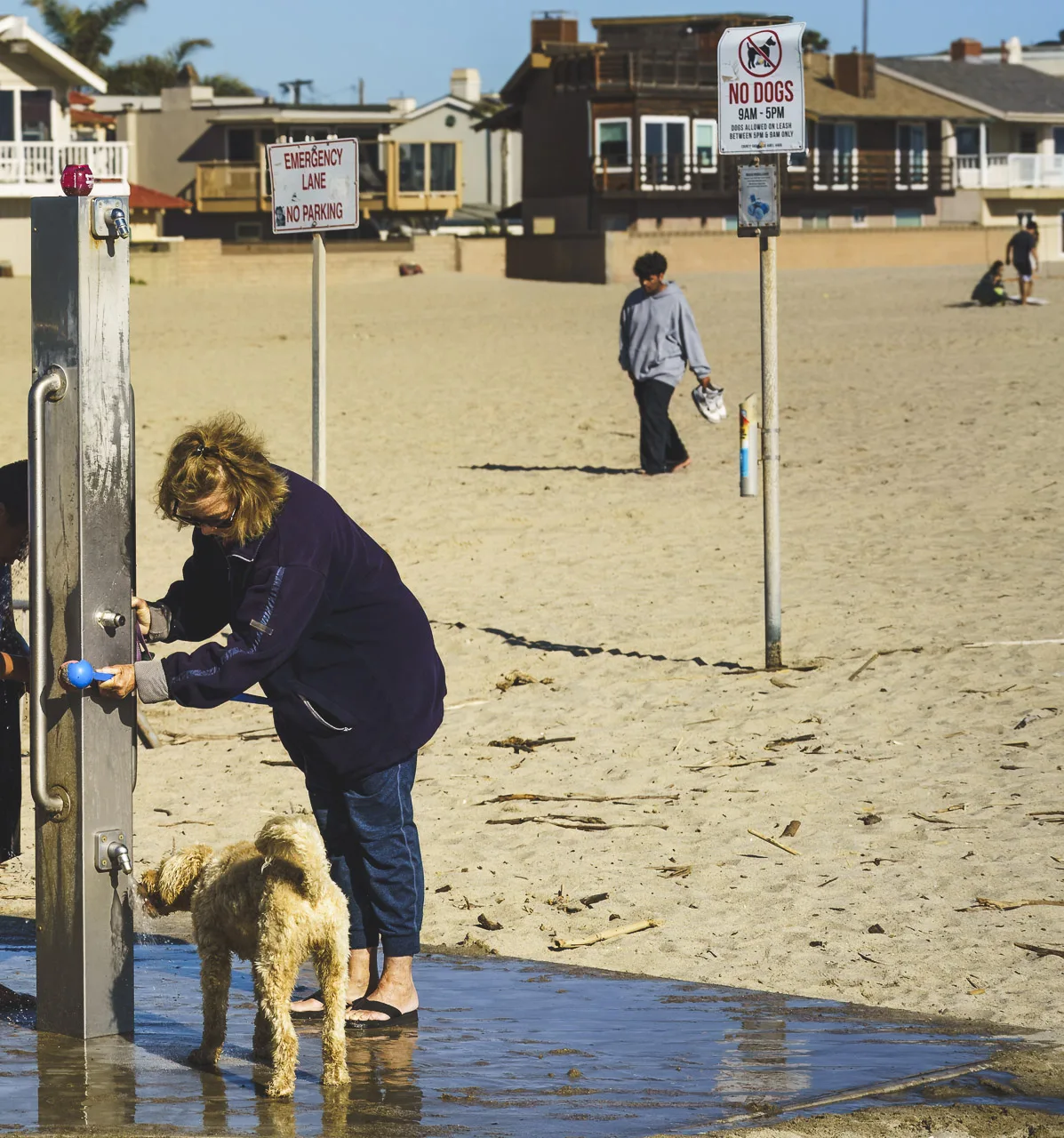 A woman lets her dog drink water from the showers at a sandy beach while a boy, barely in shot, lets water run down his face nearby. A sign in the background says "NO DOGS 9AM - 5PM" and another says, "EMERGENCY LANE NO PARKING". A young man walks across the sand with her shoes in his hand, while a couple far off in the distance part of the background of a beach. Houses look onto the beach.