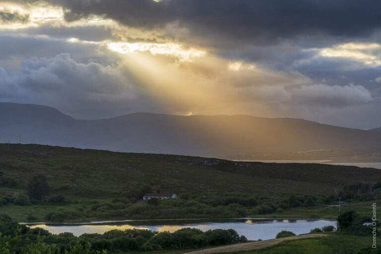 Light from the cloud