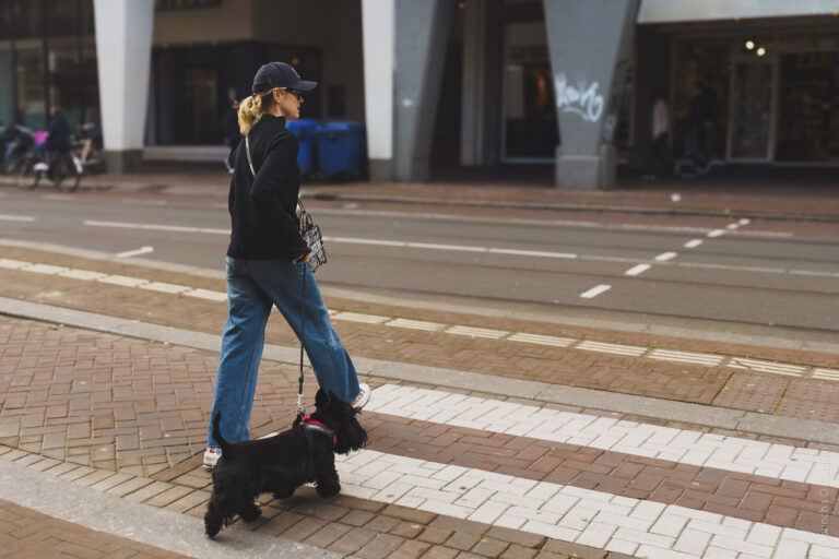 A woman walking her dog across the road.