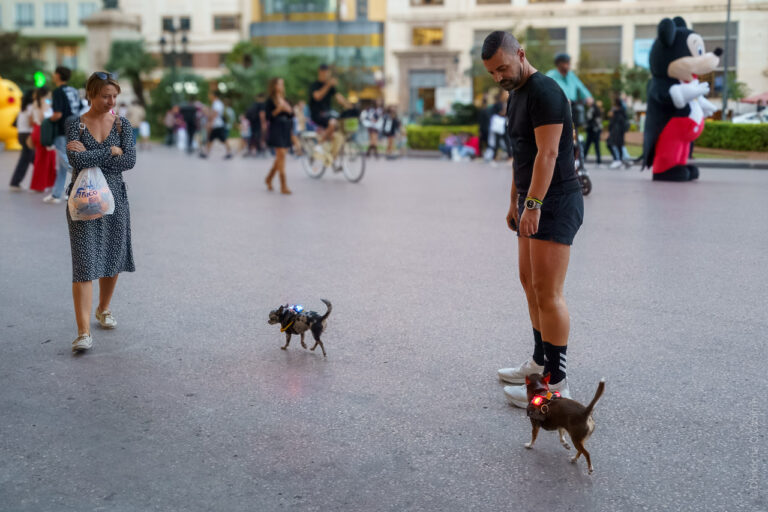 A man walking his two chihuahuas on a wide pedestrianised street. The two dogs are chihuahuas and they have lights on them. A woman nearby admires them while people walk by and cycle by in the distance. A Mickey Mouse greets people in the background.