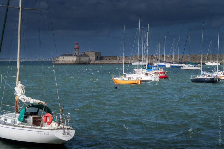 The boats of Dún Laoghaire