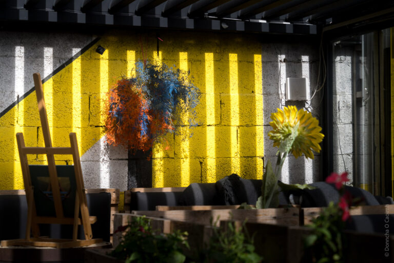 Vibrant yellow walls with bright sunlight making vertical bars, with flowers and furniture.