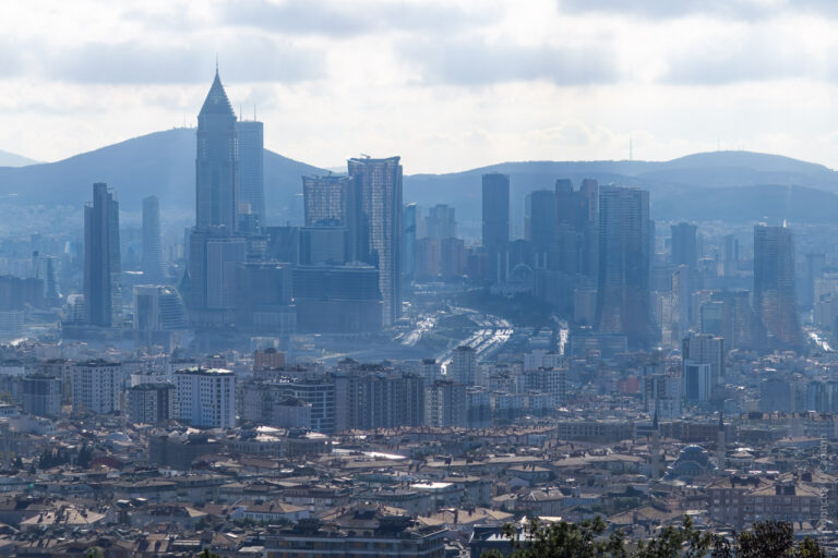 The Istanbul Skyline