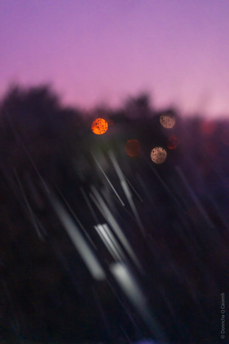 It snowed this morning