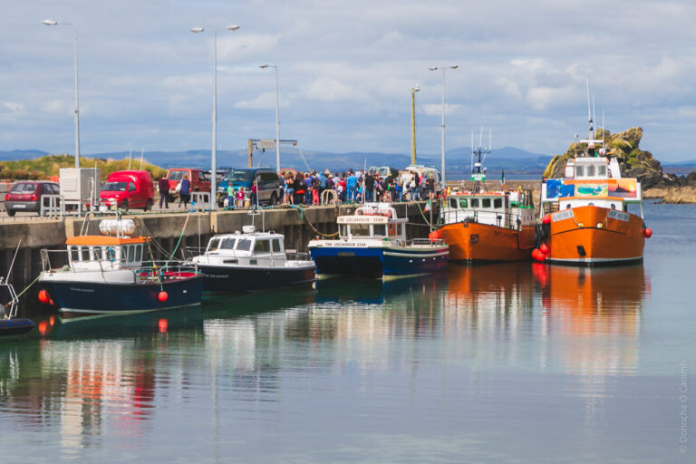 The boats of Cape Clear