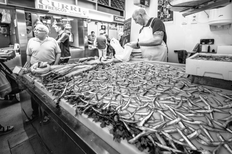 Anchovy Symphony in Black and White