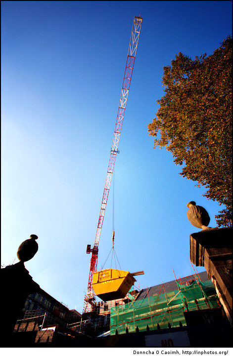 Mini skips flying high