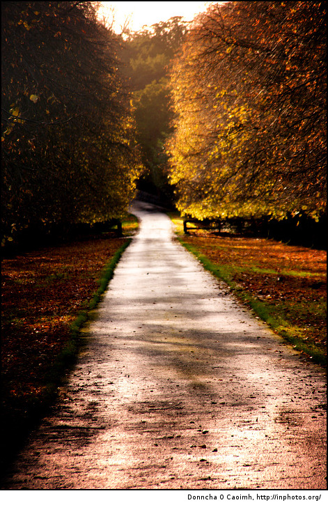 The road to Blarney Castle