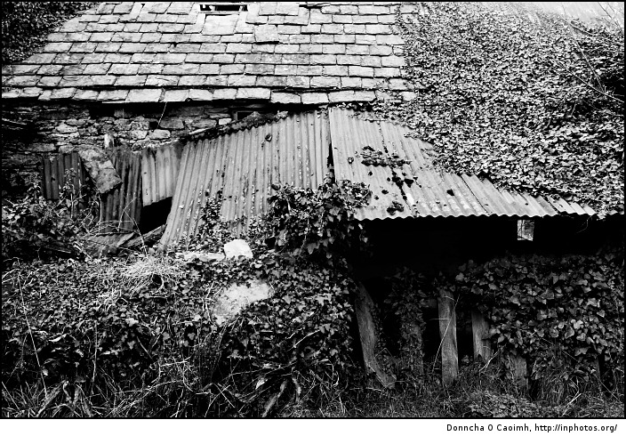 Old farm building in ruins