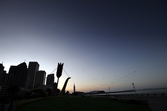 Cupid's Arrow and the birds