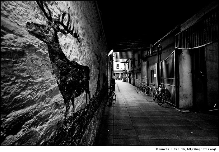 the stag in the English Market