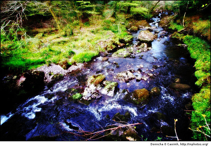 Glengarriff Stream