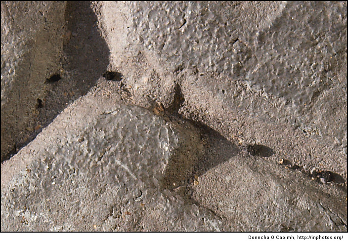 ash from burned plastic