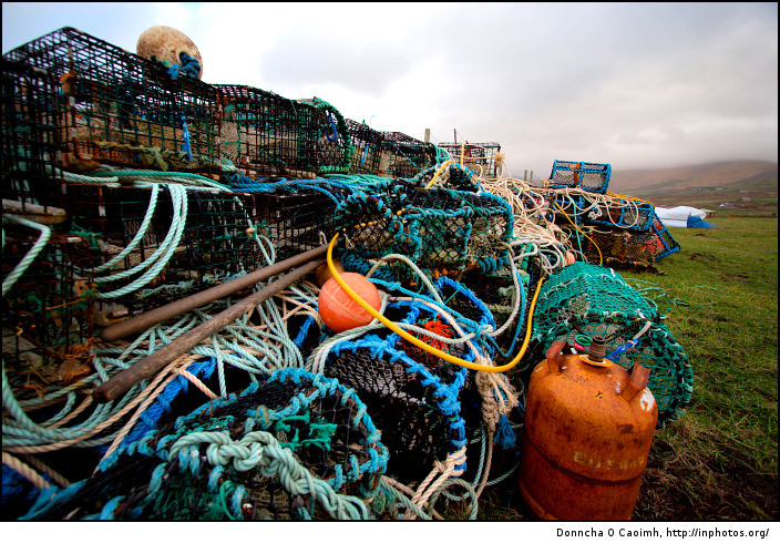 Discarded fishing tackle