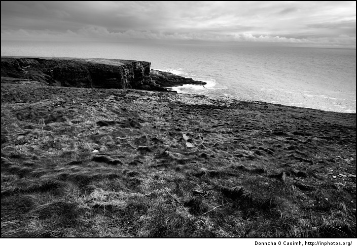 Windswept Cliff