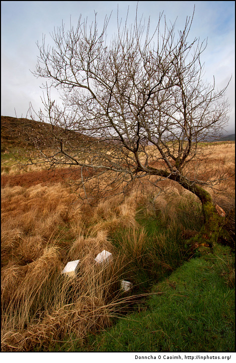 Electronic waste in the countryside