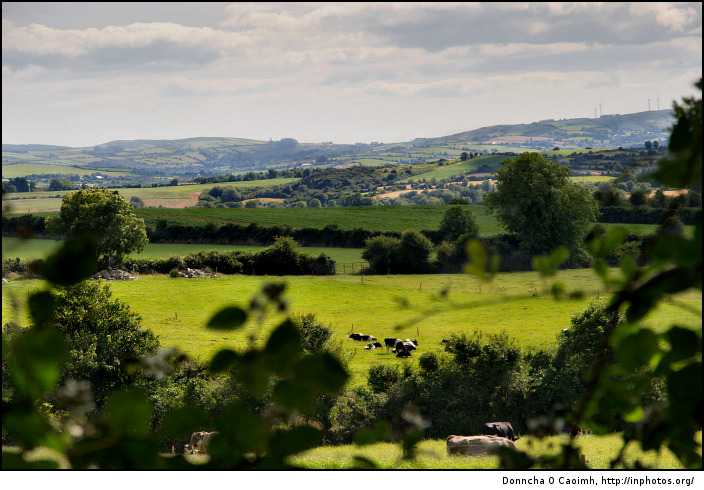 The rolling hills of the Irish countryside