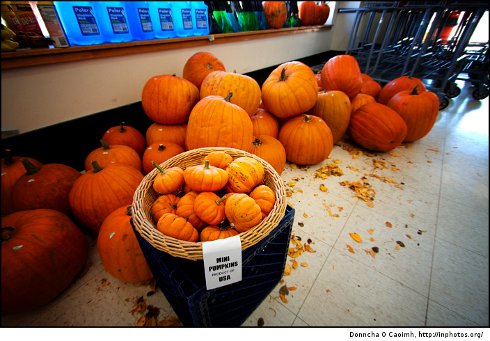 Pumpkins For Sale