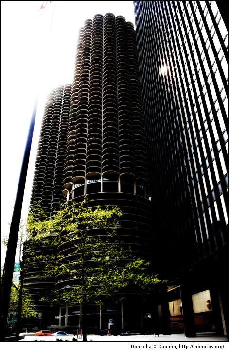 Look up at Marina City