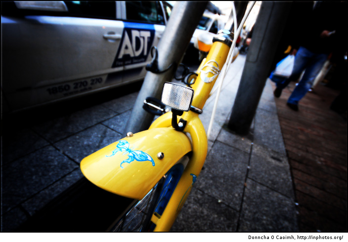 the bicycle butterfly