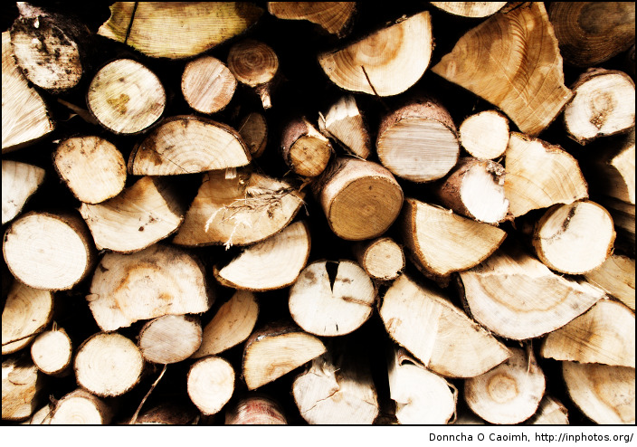 i got wood