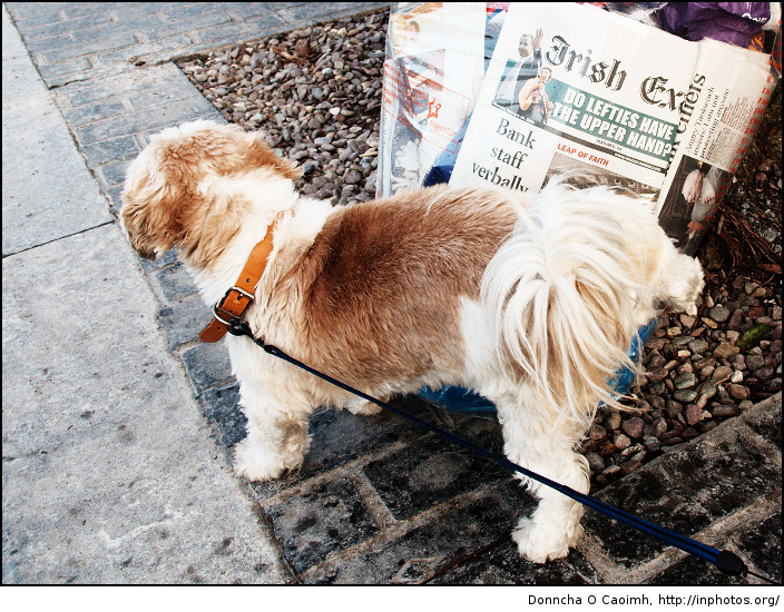 oscar loves recycling