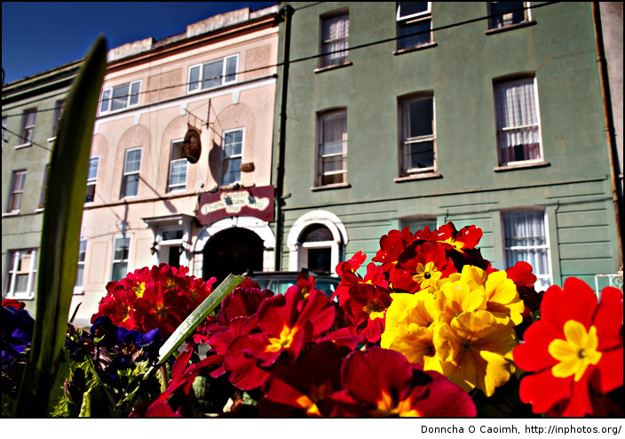 Flowers on North Mall