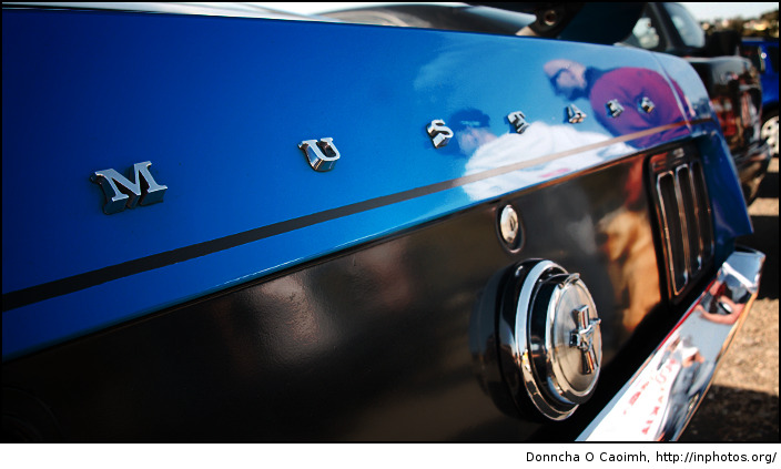 mustang
