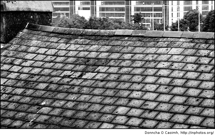 Slate in Black and White