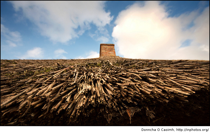 thatched roof