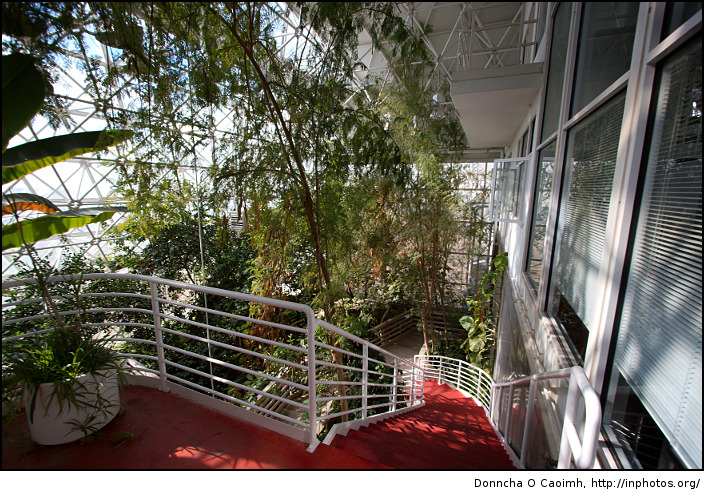 Growing Wild in the Biosphere